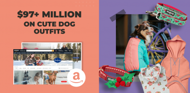 cute-holiday-dog-outfits