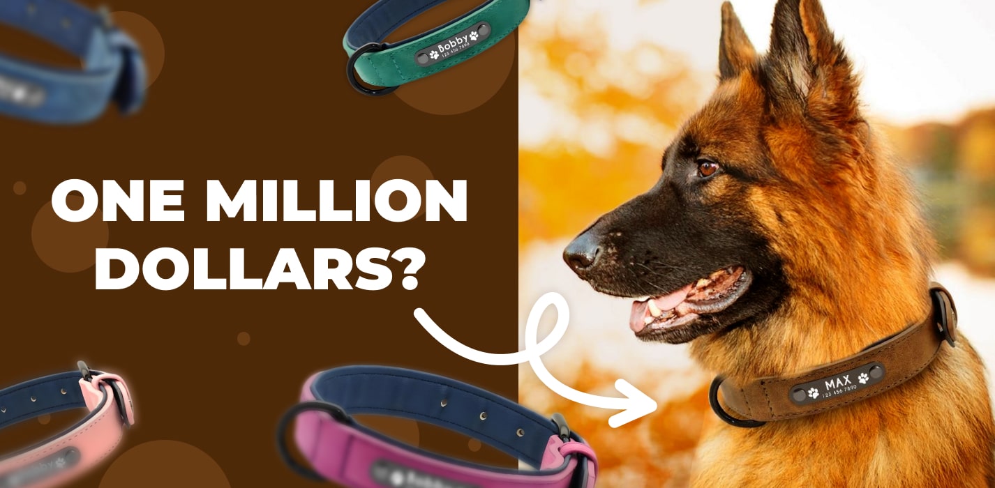 $1,011,653 Dropshipping In The Dog Niche (Secret Of High Margin Product Revealed!)