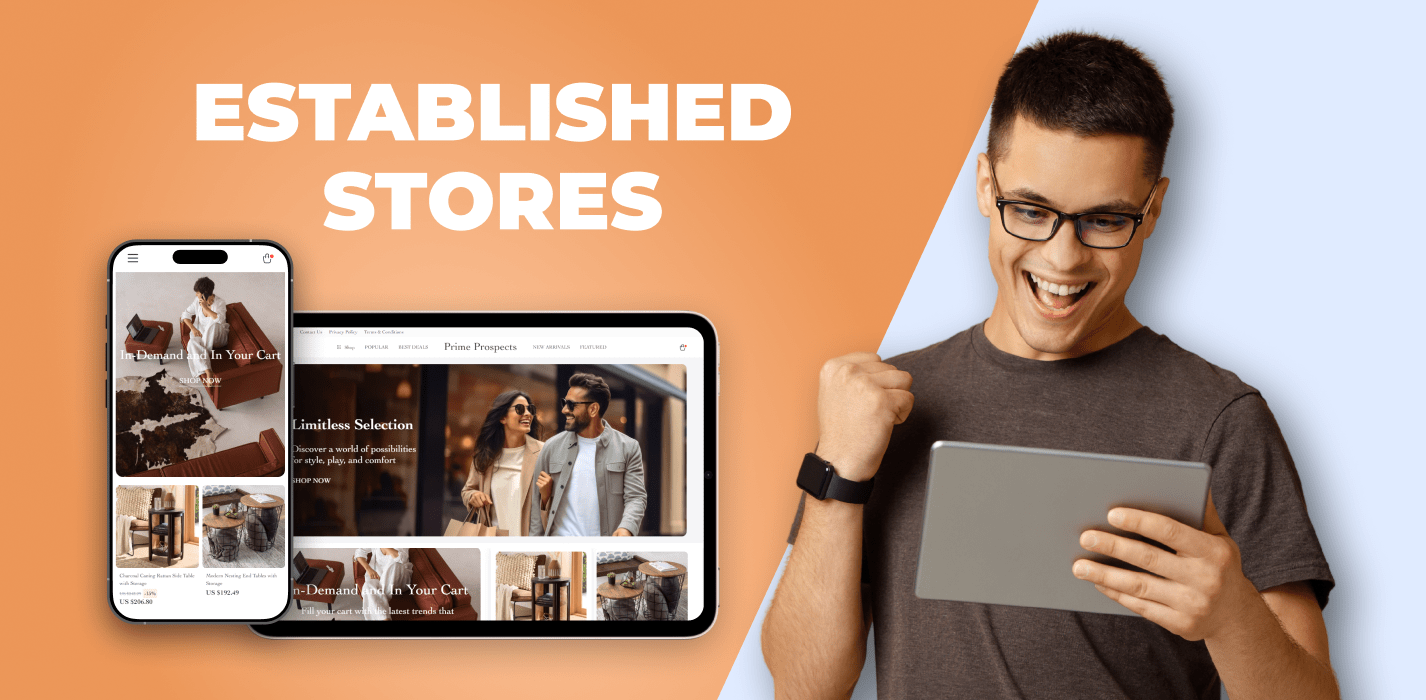 Established Ecommerce Stores For Sale: Own A Profitable Store Instantly!