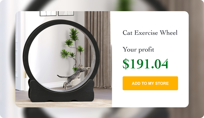 Cat Exercise Wheel
