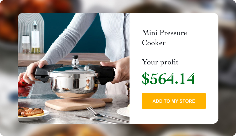 Mini Pressure Cooker